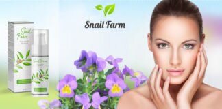 snail_farm